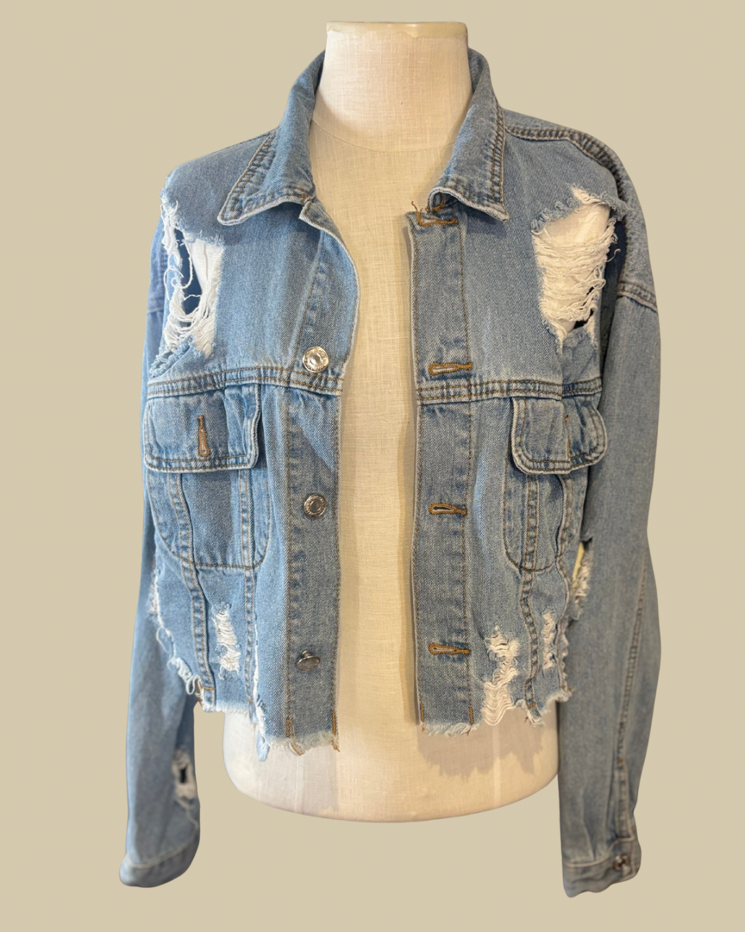 The Glasswing Jacket