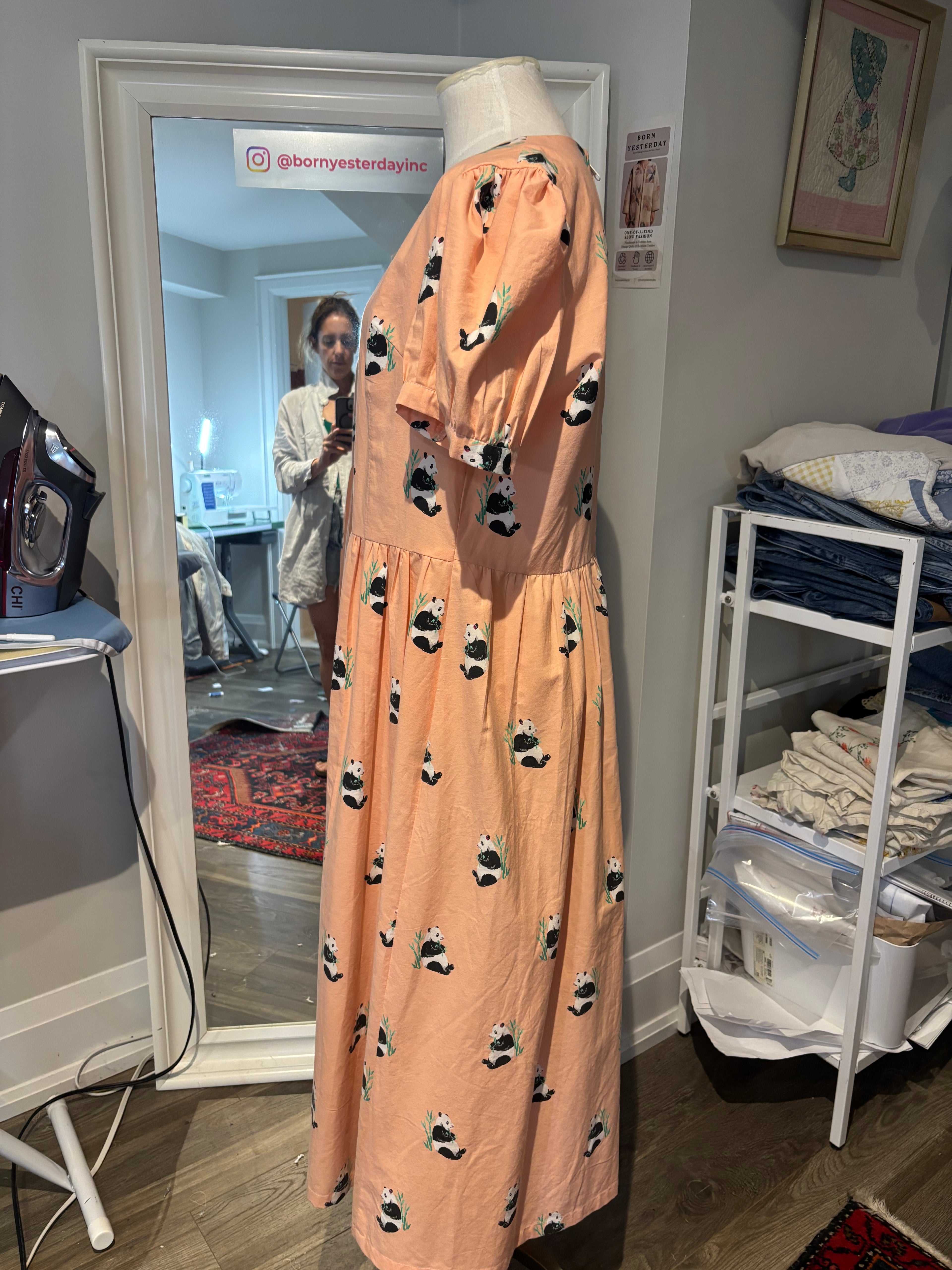 The Peach Panda Dress