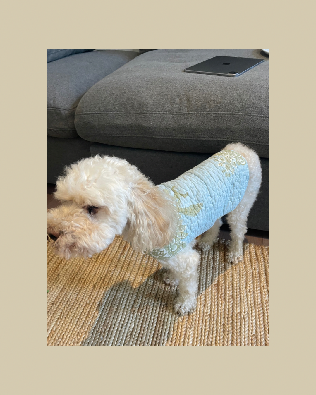 Mini Quilted Pup Coat